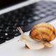 A Snail on a Keyboard - Slow Internet!