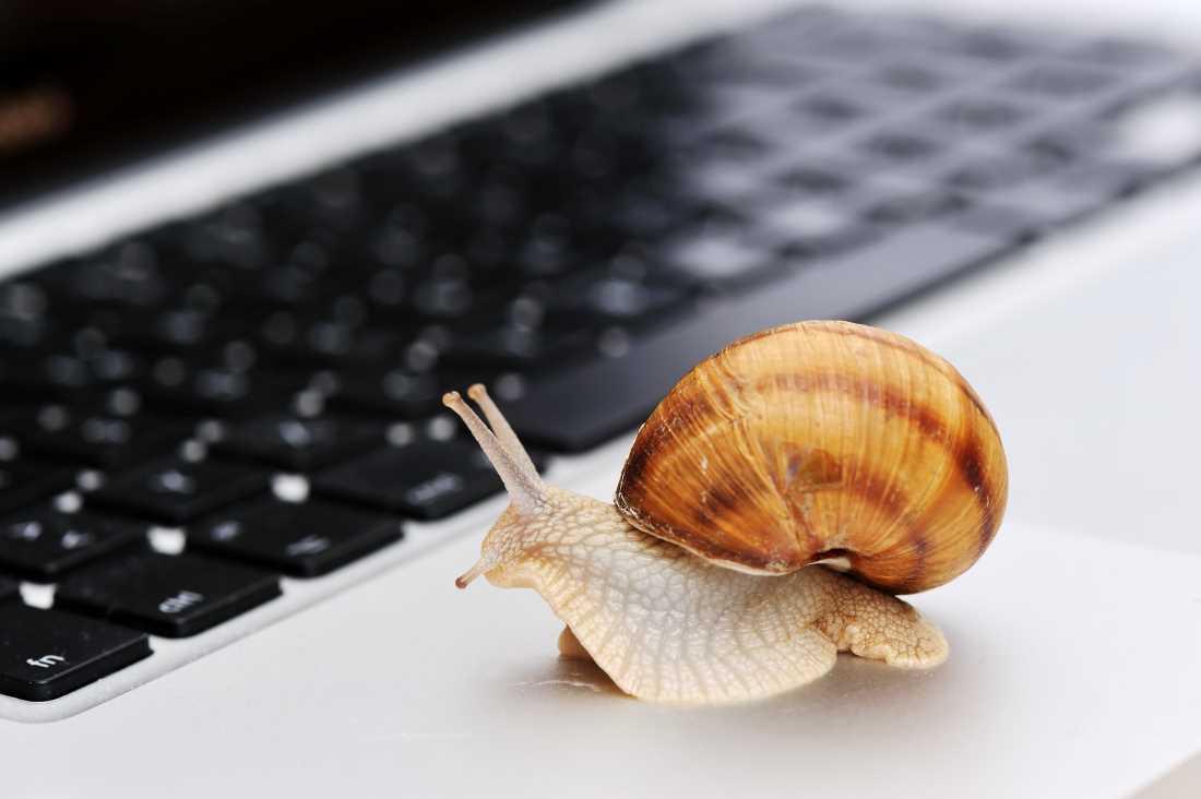 A Snail on a Keyboard - Slow Internet!